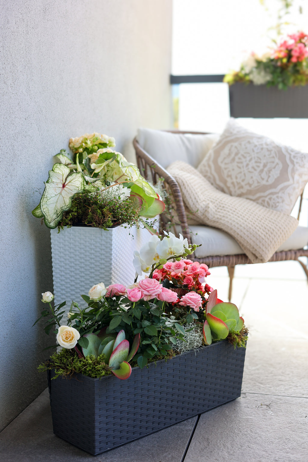 Kompozycja na romantyczny balkon letni