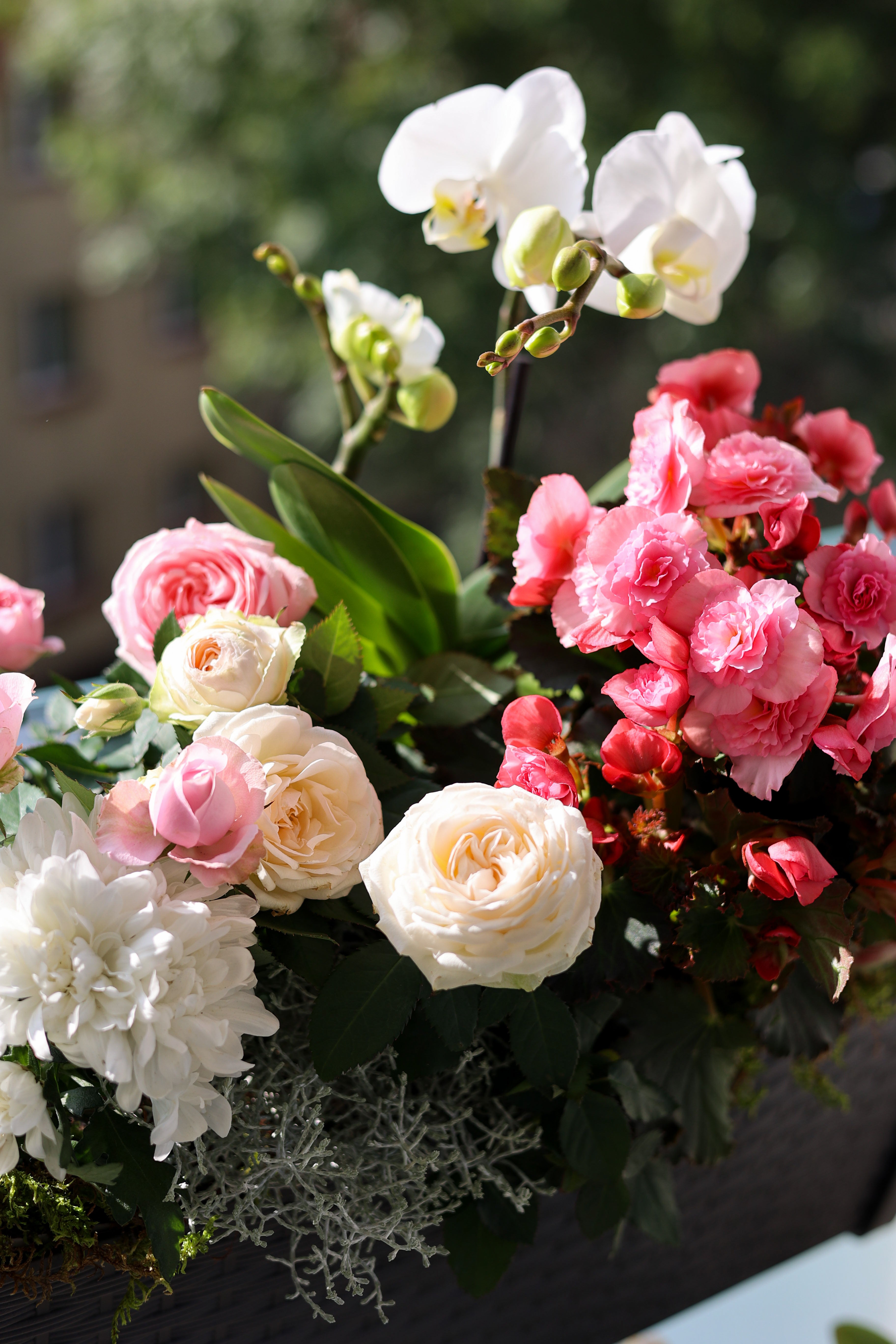 Kompozycja na romantyczny balkon letni