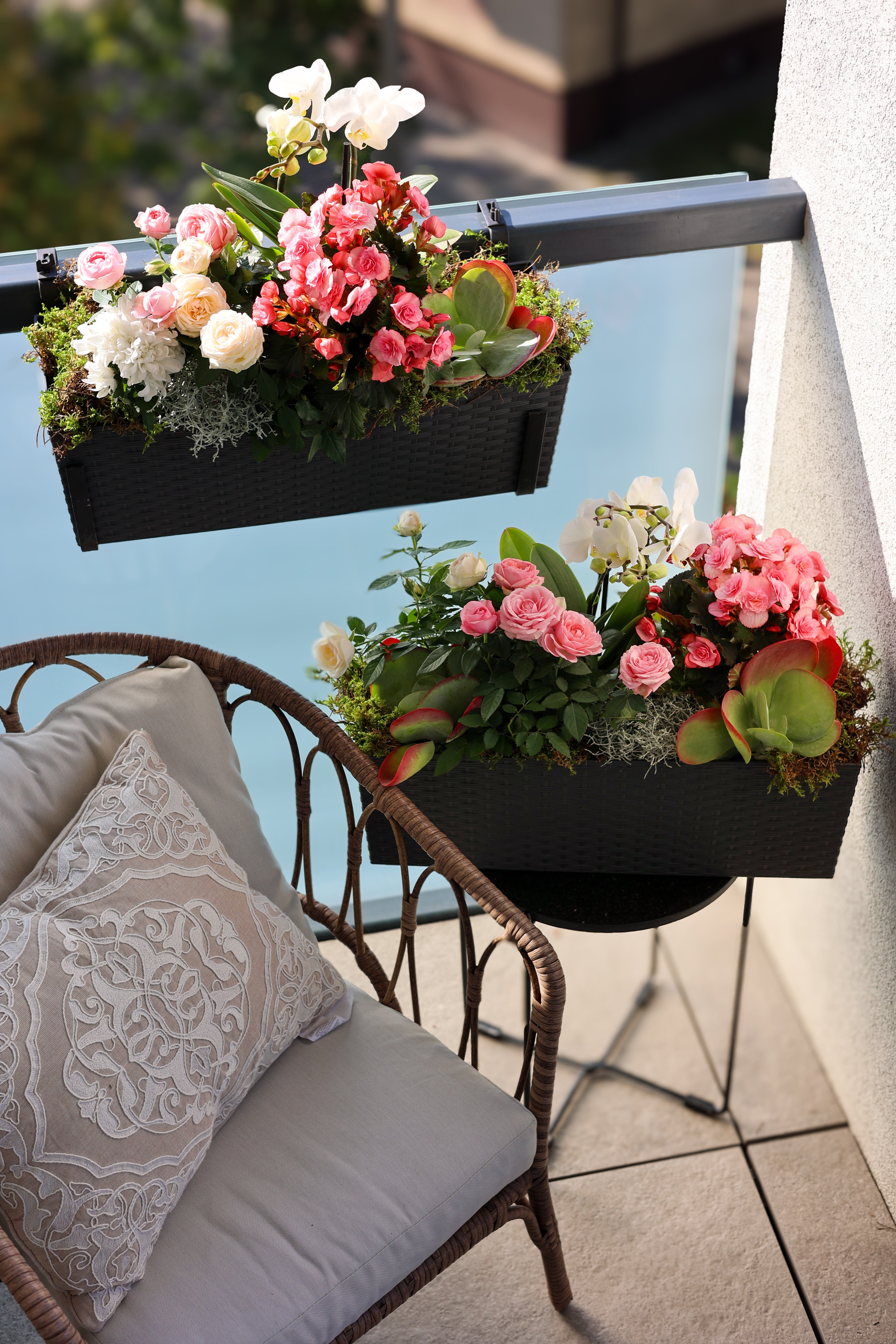 balkon-letni-glamour- romantyczny-roze-begonie-stolczyki-kalanhoe-muehlenbeckia