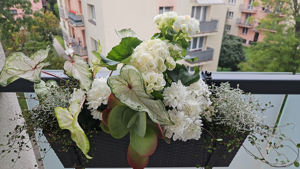 Kompozycja na romantyczny balkon letni